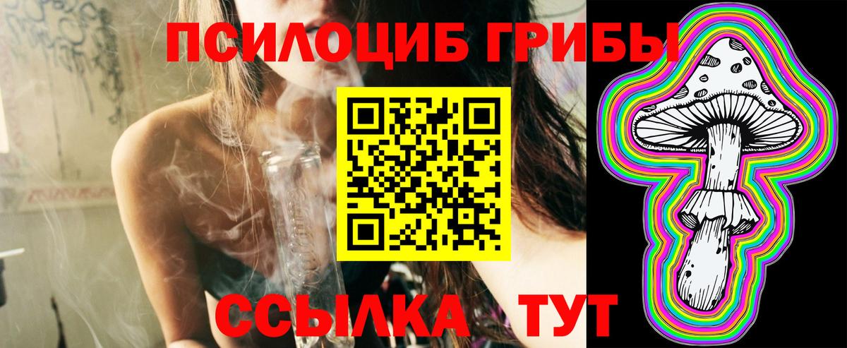 Галлюциногенные грибы ЛСД  Вход с VPN  Сибай  Псилоцибиновые грибы Psilocybe 
